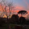 Immagine di Giuseppe Di bendetto
